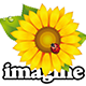 Imagine – 老牌轻量级图片浏览器