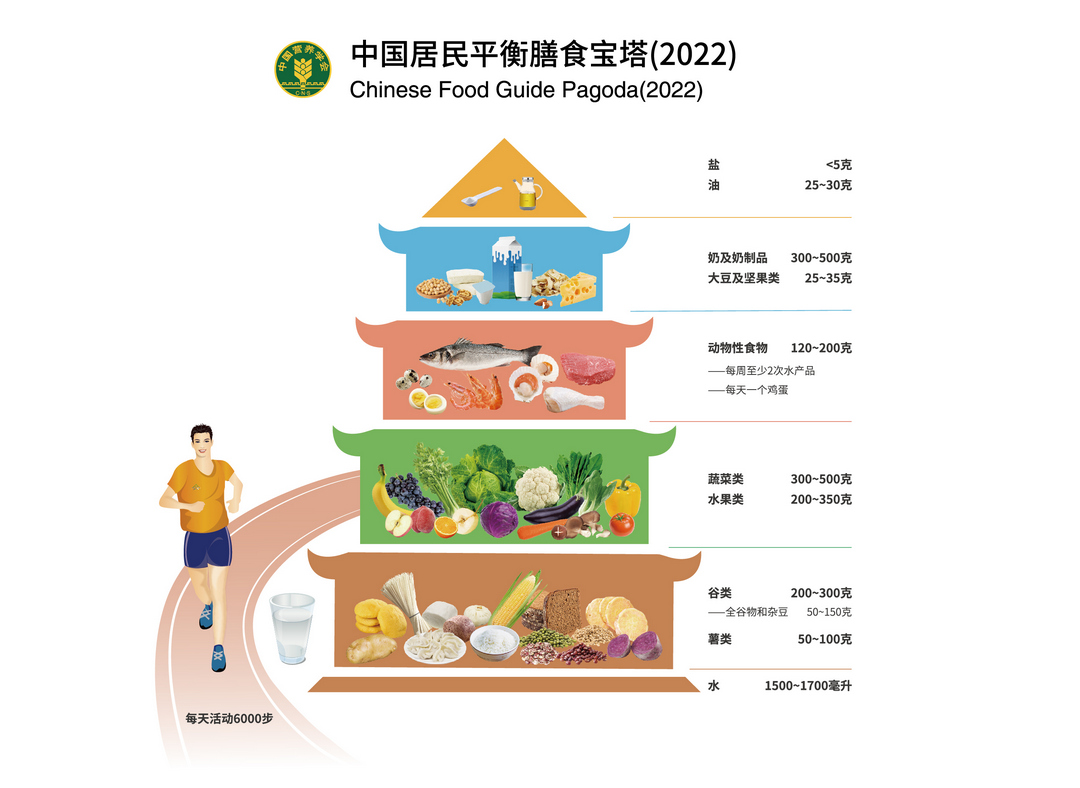 营养知识｜中国膳食指南2022版相关课件及宣传折页大全集