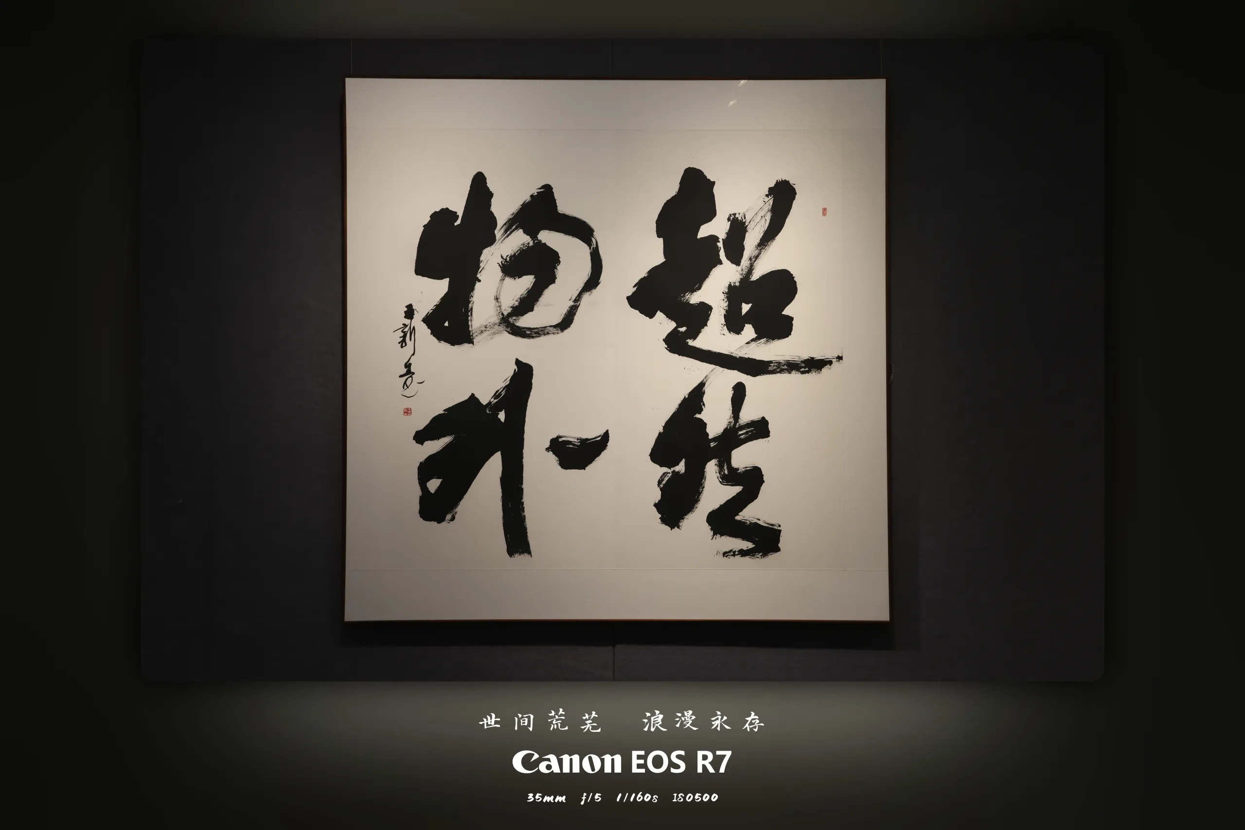 图片处理|摄影懒人专属福利,打上这样的水印,什么照片都能变得高大上起来 - 壹印高自由度水印软件