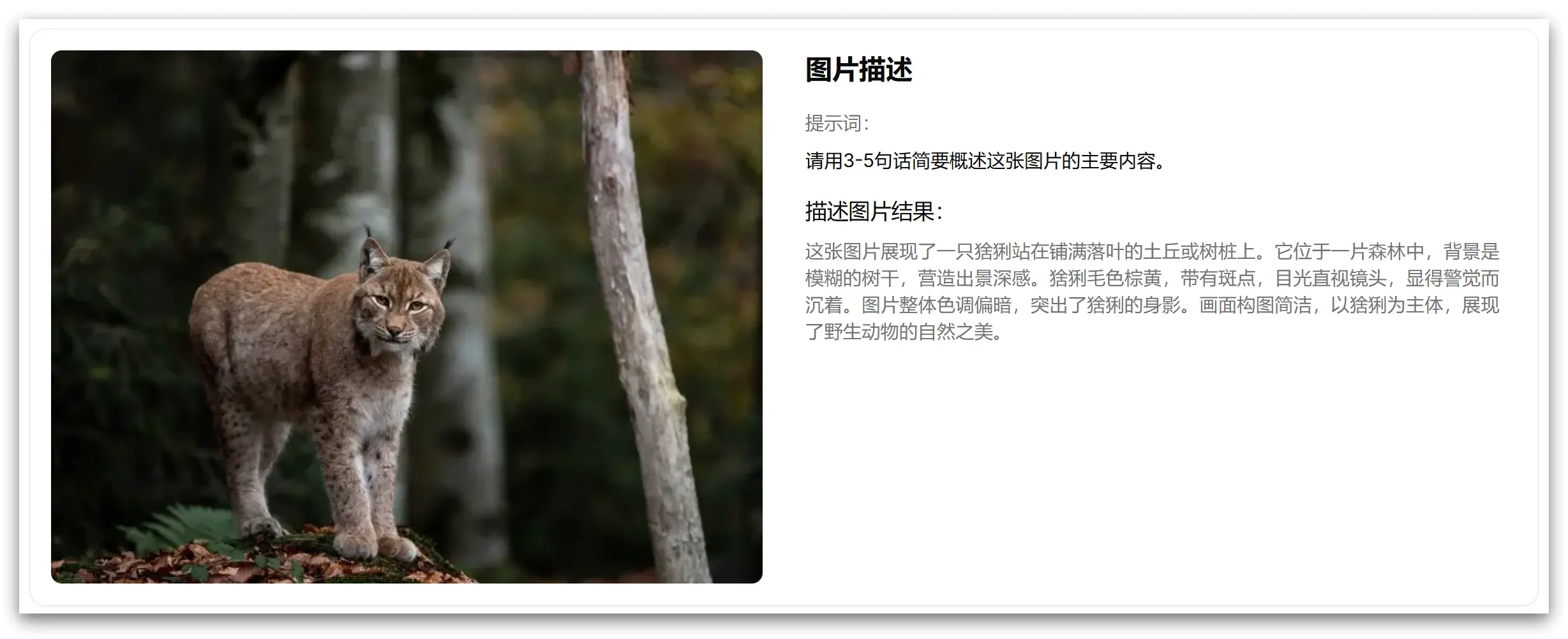 Image Describer X - AI智能分析描述丨提取丨拓展丨图片信息