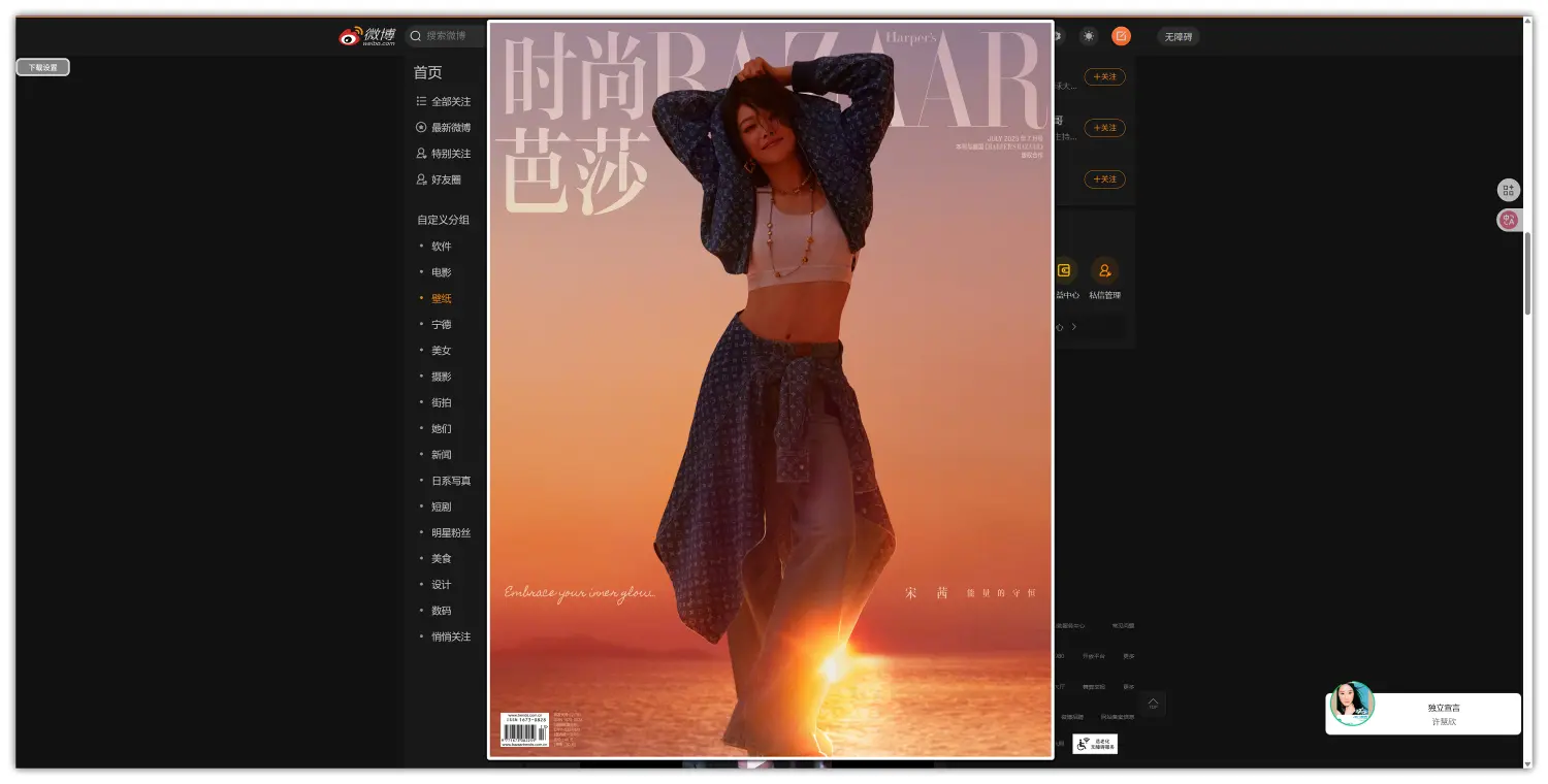 Hover Zoom+ – 浏览器拓展插件｜鼠标悬停任意网页图片即可放大图片