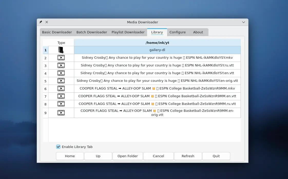 Media Downloader - 整合多个视频下载器的综合下载工具