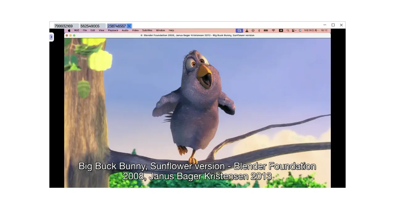 CrossDesk - 支持Web端的轻量级跨平台远程桌面软件