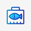 小鱼工具箱 – 精选实用工具，提升工作效率