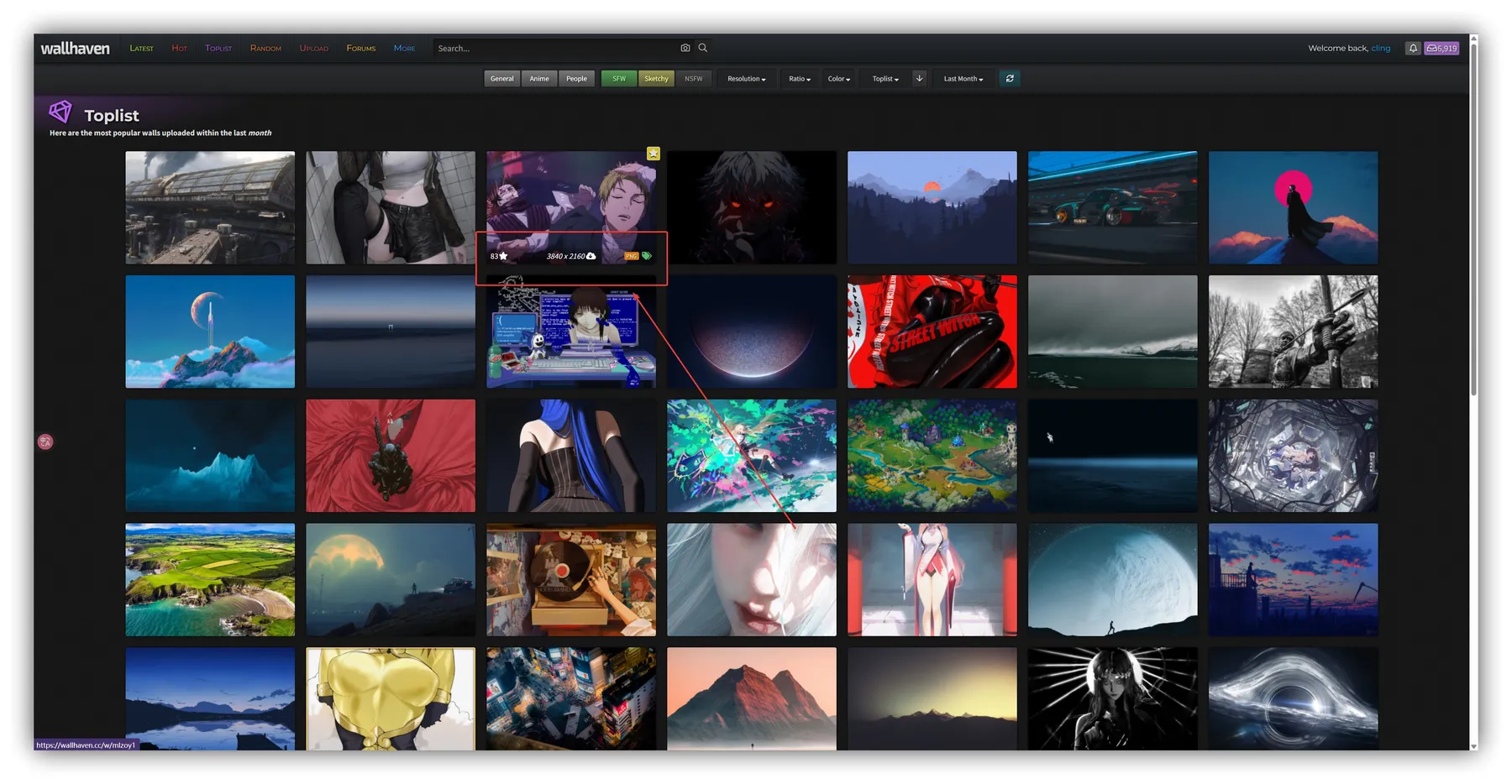 WallHaven One Click Download – 一键下载Wallhaven壁纸工具